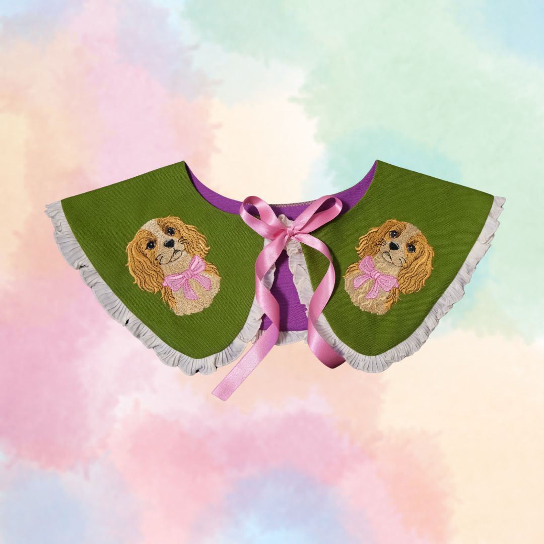 Cavalier Detachable Collar