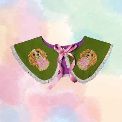 Cavalier Detachable Collar